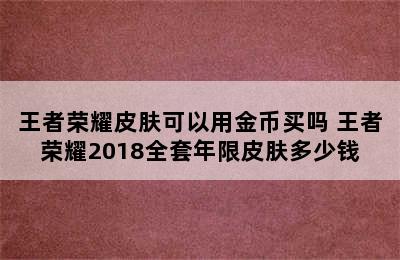 王者荣耀皮肤可以用金币买吗 王者荣耀2018全套年限皮肤多少钱